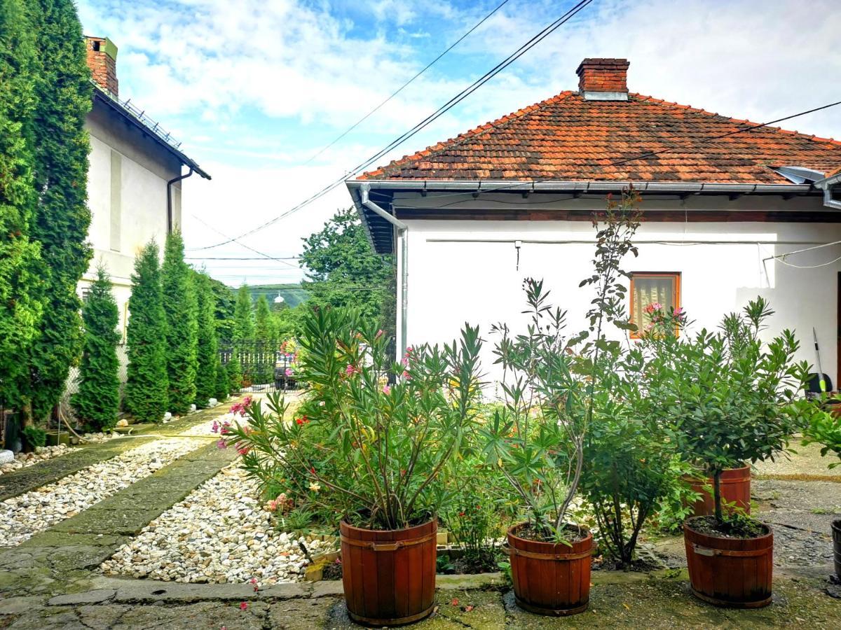 Casa Petrescu Villa Curtea de Argeş Exteriör bild